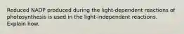 Reduced NADP produced during the light-dependent reactions of photosynthesis is used in the light-independent reactions. Explain how.