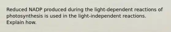 Reduced NADP produced during the light-dependent reactions of photosynthesis is used in the light-independent reactions. Explain how.