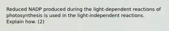 Reduced NADP produced during the light-dependent reactions of photosynthesis is used in the light-independent reactions. Explain how. (2)