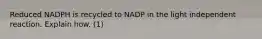 Reduced NADPH is recycled to NADP in the light independent reaction. Explain how. (1)