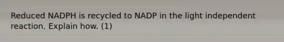 Reduced NADPH is recycled to NADP in the light independent reaction. Explain how. (1)