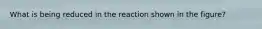 What is being reduced in the reaction shown in the figure?