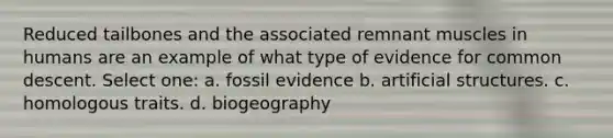 Reduced tailbones and the associated remnant muscles in humans are an example of what type of evidence for common descent. Select one: a. fossil evidence b. artificial structures. c. homologous traits. d. biogeography