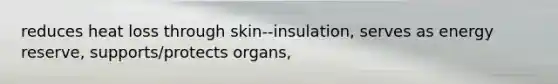 reduces heat loss through skin--insulation, serves as energy reserve, supports/protects organs,