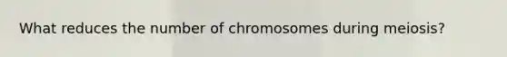 What reduces the number of chromosomes during meiosis?