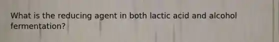 What is the reducing agent in both lactic acid and alcohol fermentation?