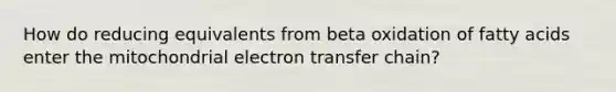 How do reducing equivalents from beta oxidation of fatty acids enter the mitochondrial electron transfer chain?