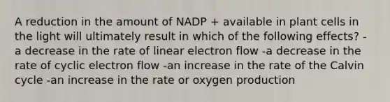 A reduction in the amount of NADP + available in plant cells in the light will ultimately result in which of the following effects? - a decrease in the rate of linear electron flow -a decrease in the rate of cyclic electron flow -an increase in the rate of the Calvin cycle -an increase in the rate or oxygen production