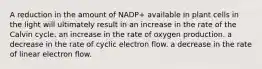 A reduction in the amount of NADP+ available in plant cells in the light will ultimately result in an increase in the rate of the Calvin cycle. an increase in the rate of oxygen production. a decrease in the rate of cyclic electron flow. a decrease in the rate of linear electron flow.