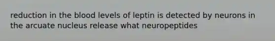 reduction in the blood levels of leptin is detected by neurons in the arcuate nucleus release what neuropeptides