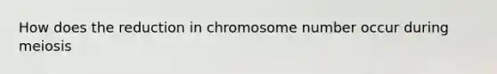 How does the reduction in chromosome number occur during meiosis