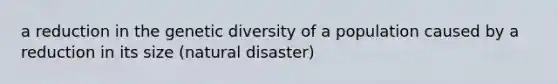 a reduction in the genetic diversity of a population caused by a reduction in its size (natural disaster)