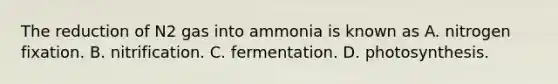 The reduction of N2 gas into ammonia is known as A. nitrogen fixation. B. nitrification. C. fermentation. D. photosynthesis.