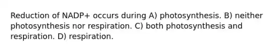 Reduction of NADP+ occurs during A) photosynthesis. B) neither photosynthesis nor respiration. C) both photosynthesis and respiration. D) respiration.