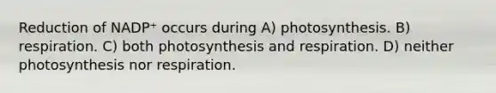 Reduction of NADP⁺ occurs during A) photosynthesis. B) respiration. C) both photosynthesis and respiration. D) neither photosynthesis nor respiration.