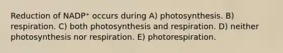 Reduction of NADP⁺ occurs during A) photosynthesis. B) respiration. C) both photosynthesis and respiration. D) neither photosynthesis nor respiration. E) photorespiration.