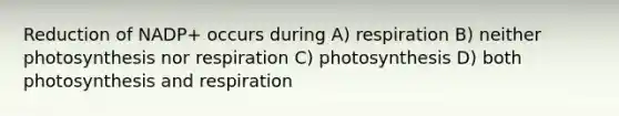 Reduction of NADP+ occurs during A) respiration B) neither photosynthesis nor respiration C) photosynthesis D) both photosynthesis and respiration