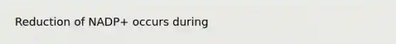 Reduction of NADP+ occurs during