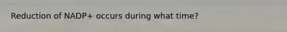 Reduction of NADP+ occurs during what time?