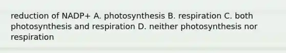 reduction of NADP+ A. photosynthesis B. respiration C. both photosynthesis and respiration D. neither photosynthesis nor respiration