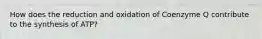 How does the reduction and oxidation of Coenzyme Q contribute to the synthesis of ATP?