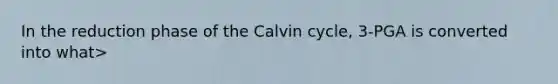 In the reduction phase of the Calvin cycle, 3-PGA is converted into what>