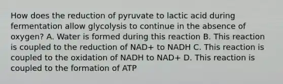 How does the reduction of pyruvate to lactic acid during fermentation allow glycolysis to continue in the absence of oxygen? A. Water is formed during this reaction B. This reaction is coupled to the reduction of NAD+ to NADH C. This reaction is coupled to the oxidation of NADH to NAD+ D. This reaction is coupled to the formation of ATP