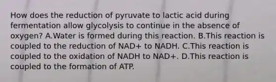 How does the reduction of pyruvate to lactic acid during fermentation allow glycolysis to continue in the absence of oxygen? A.Water is formed during this reaction. B.This reaction is coupled to the reduction of NAD+ to NADH. C.This reaction is coupled to the oxidation of NADH to NAD+. D.This reaction is coupled to the formation of ATP.