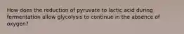 How does the reduction of pyruvate to lactic acid during fermentation allow glycolysis to continue in the absence of oxygen?