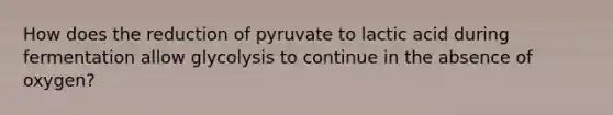 How does the reduction of pyruvate to lactic acid during fermentation allow glycolysis to continue in the absence of oxygen?