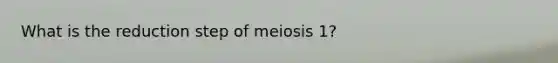 What is the reduction step of meiosis 1?