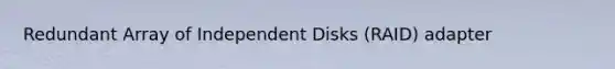 Redundant Array of Independent Disks (RAID) adapter