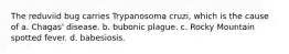 The reduviid bug carries Trypanosoma cruzi, which is the cause of a. Chagas' disease. b. bubonic plague. c. Rocky Mountain spotted fever. d. babesiosis.