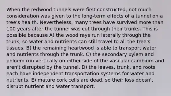 When the redwood tunnels were first constructed, not much consideration was given to the long-term effects of a tunnel on a tree's health. Nevertheless, many trees have survived more than 100 years after the tunnel was cut through their trunks. This is possible because A) the wood rays run laterally through the trunk, so water and nutrients can still travel to all the tree's tissues. B) the remaining heartwood is able to transport water and nutrients through the trunk. C) the secondary xylem and phloem run vertically on either side of the vascular cambium and aren't disrupted by the tunnel. D) the leaves, trunk, and roots each have independent transportation systems for water and nutrients. E) mature cork cells are dead, so their loss doesn't disrupt nutrient and water transport.