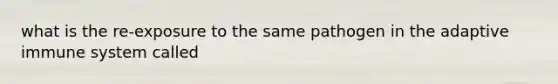 what is the re-exposure to the same pathogen in the adaptive immune system called