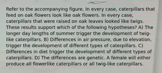 Refer to the accompanying figure. In every case, caterpillars that feed on oak flowers look like oak flowers. In every case, caterpillars that were raised on oak leaves looked like twigs. These results support which of the following hypotheses? A) The longer day lengths of summer trigger the development of twig-like caterpillars. B) Differences in air pressure, due to elevation, trigger the development of different types of caterpillars. C) Differences in diet trigger the development of different types of caterpillars. D) The differences are genetic. A female will either produce all flowerlike caterpillars or all twig-like caterpillars.