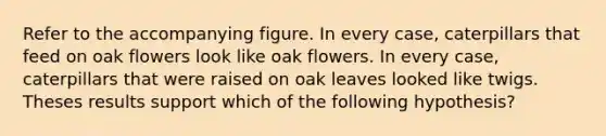 Refer to the accompanying figure. In every case, caterpillars that feed on oak flowers look like oak flowers. In every case, caterpillars that were raised on oak leaves looked like twigs. Theses results support which of the following hypothesis?