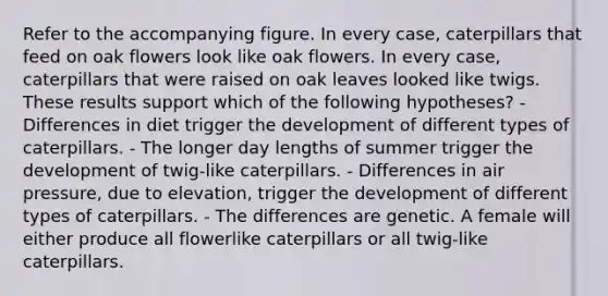 Refer to the accompanying figure. In every case, caterpillars that feed on oak flowers look like oak flowers. In every case, caterpillars that were raised on oak leaves looked like twigs. These results support which of the following hypotheses? - Differences in diet trigger the development of different types of caterpillars. - The longer day lengths of summer trigger the development of twig-like caterpillars. - Differences in air pressure, due to elevation, trigger the development of different types of caterpillars. - The differences are genetic. A female will either produce all flowerlike caterpillars or all twig-like caterpillars.