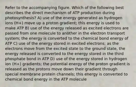 Refer to the accompanying figure. Which of the following best describes the direct mechanism of <a href='https://www.questionai.com/knowledge/kQXM5vFKbG-atp-production' class='anchor-knowledge'>atp production</a> during photosynthesis? A) use of the energy generated as hydrogen ions (H+) move up a proton gradient; this energy is used to make ATP B) use of the energy released as excited electrons are passed from one molecule to another in the <a href='https://www.questionai.com/knowledge/kbvjAonm6A-electron-transport-system' class='anchor-knowledge'>electron transport system</a>; the energy is converted to the chemical bond energy of ATP C) use of the energy stored in excited electrons; as the electrons move from the excited state to the <a href='https://www.questionai.com/knowledge/kcu4RpIPUr-ground-state' class='anchor-knowledge'>ground state</a>, the energy released is converted to the energy stored in the third phosphate bond in ATP D) use of the energy stored in hydrogen ion (H+) gradients; the potential energy of the proton gradient is released as the protons move down their gradient through special membrane protein channels; this energy is converted to chemical bond energy in the ATP molecule