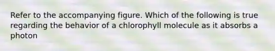 Refer to the accompanying figure. Which of the following is true regarding the behavior of a chlorophyll molecule as it absorbs a photon