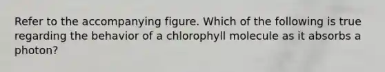 Refer to the accompanying figure. Which of the following is true regarding the behavior of a chlorophyll molecule as it absorbs a photon?