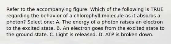 Refer to the accompanying figure. Which of the following is TRUE regarding the behavior of a chlorophyll molecule as it absorbs a photon? Select one: A. The energy of a photon raises an electron to the excited state. B. An electron goes from the excited state to the ground state. C. Light is released. D. ATP is broken down.