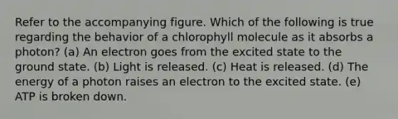 Refer to the accompanying figure. Which of the following is true regarding the behavior of a chlorophyll molecule as it absorbs a photon? (a) An electron goes from the excited state to the ground state. (b) Light is released. (c) Heat is released. (d) The energy of a photon raises an electron to the excited state. (e) ATP is broken down.