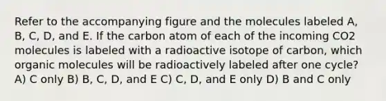 Refer to the accompanying figure and the molecules labeled A, B, C, D, and E. If the carbon atom of each of the incoming CO2 molecules is labeled with a radioactive isotope of carbon, which organic molecules will be radioactively labeled after one cycle? A) C only B) B, C, D, and E C) C, D, and E only D) B and C only