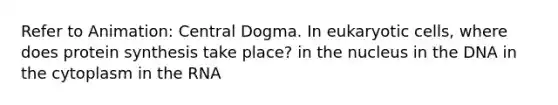 Refer to Animation: Central Dogma. In eukaryotic cells, where does protein synthesis take place? in the nucleus in the DNA in the cytoplasm in the RNA