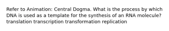 Refer to Animation: Central Dogma. What is the process by which DNA is used as a template for the synthesis of an RNA molecule? translation transcription transformation replication