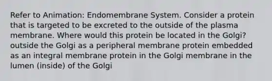 Refer to Animation: Endomembrane System. Consider a protein that is targeted to be excreted to the outside of the plasma membrane. Where would this protein be located in the Golgi? outside the Golgi as a peripheral membrane protein embedded as an integral membrane protein in the Golgi membrane in the lumen (inside) of the Golgi