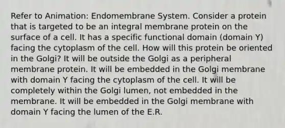 Refer to Animation: Endomembrane System. Consider a protein that is targeted to be an integral membrane protein on the surface of a cell. It has a specific functional domain (domain Y) facing the cytoplasm of the cell. How will this protein be oriented in the Golgi? It will be outside the Golgi as a peripheral membrane protein. It will be embedded in the Golgi membrane with domain Y facing the cytoplasm of the cell. It will be completely within the Golgi lumen, not embedded in the membrane. It will be embedded in the Golgi membrane with domain Y facing the lumen of the E.R.