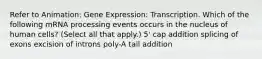 Refer to Animation: Gene Expression: Transcription. Which of the following mRNA processing events occurs in the nucleus of human cells? (Select all that apply.) 5' cap addition splicing of exons excision of introns poly-A tail addition