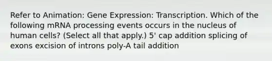 Refer to Animation: Gene Expression: Transcription. Which of the following mRNA processing events occurs in the nucleus of human cells? (Select all that apply.) 5' cap addition splicing of exons excision of introns poly-A tail addition